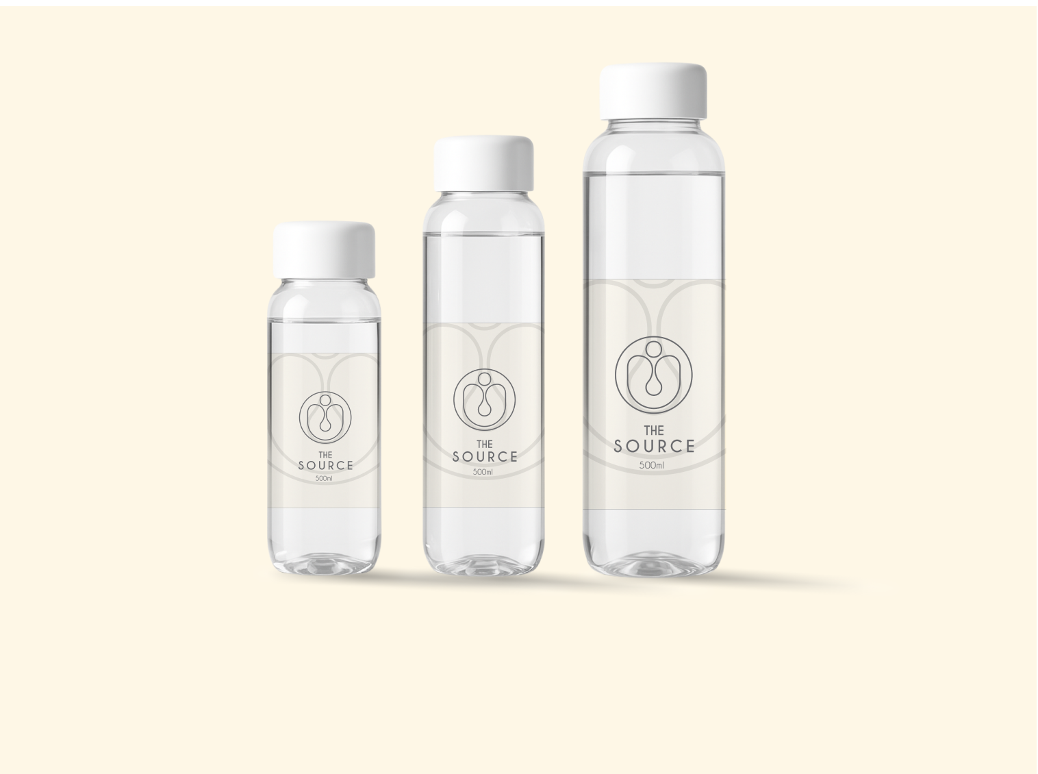 BRANDED WATER (CASE OF 24)