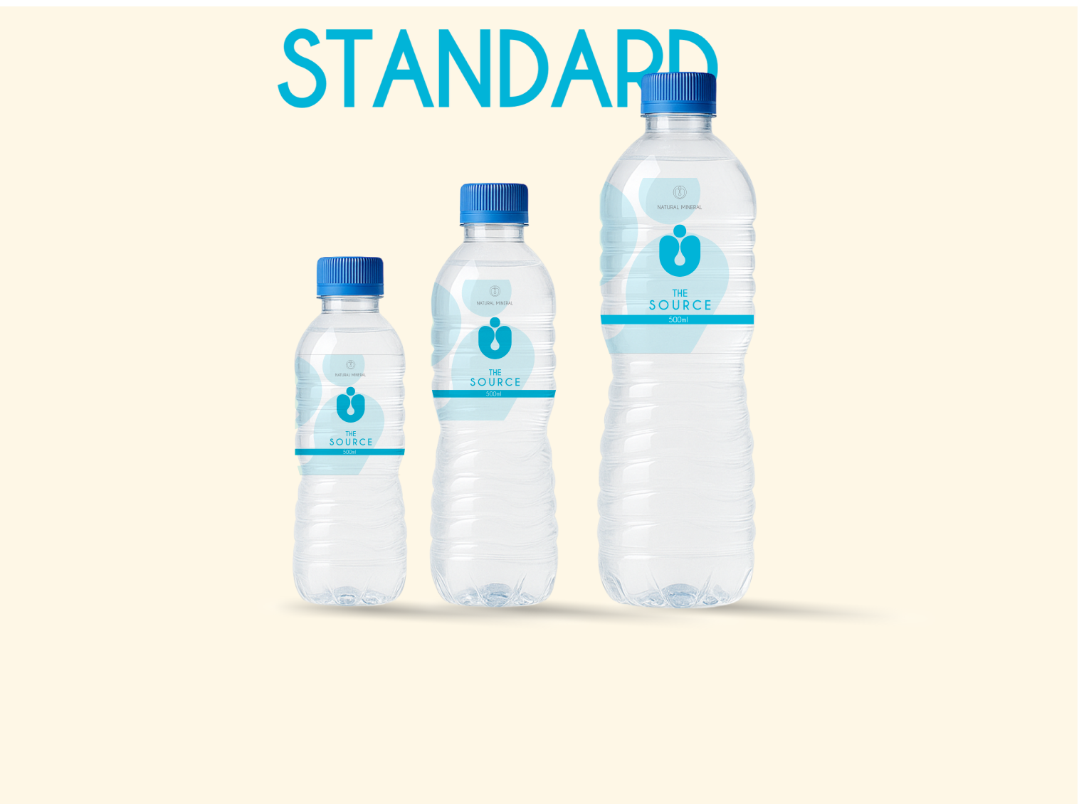 BRANDED WATER (CASE OF 24)