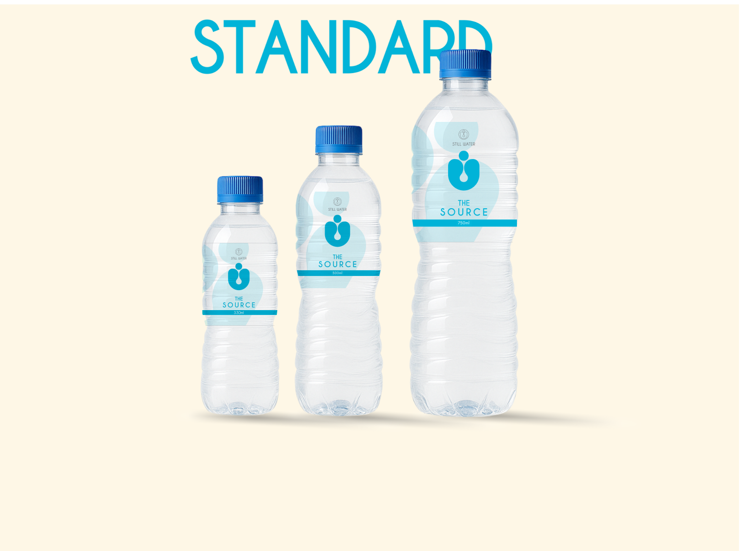 BRANDED WATER (CASE OF 24)